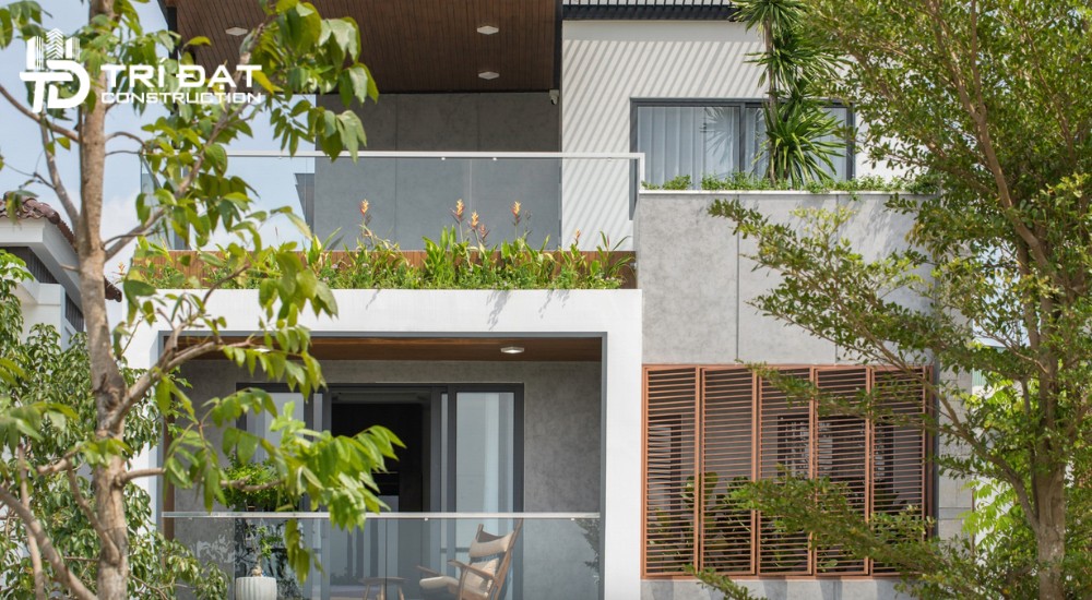 Trồng cây xanh chống nóng cho cửa kính, vách kính